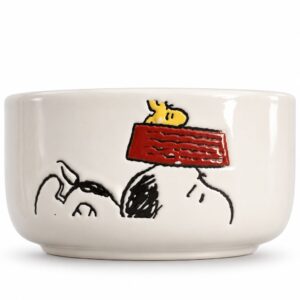 Pocillo Snoopy y Woodstock 13 cm – Importado de EE. UU.